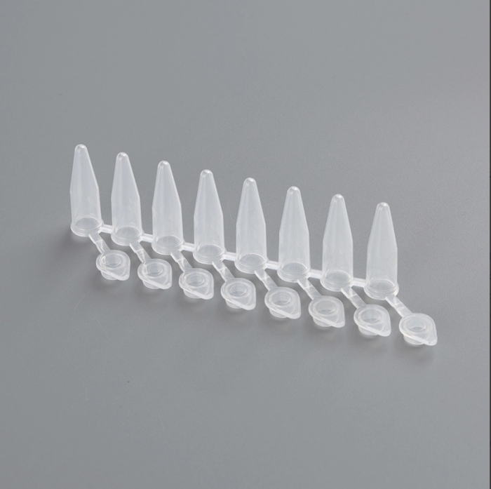 0.2ml PCR Octet Tubes – With Caps