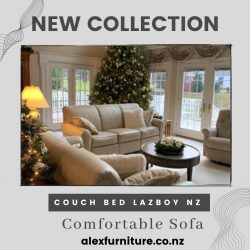 Couch Bed Lazboy NZ