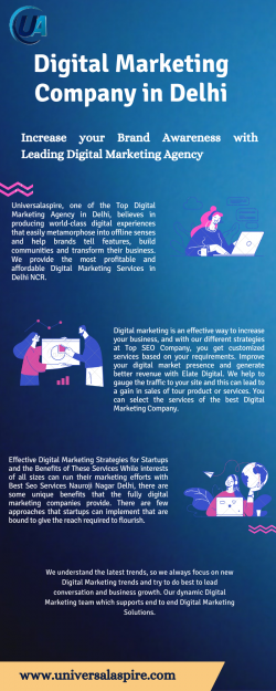 Leading Digital Marketing Company in Delhi