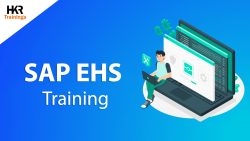 Best SAP EHS online certification training – HKR Trainings.