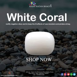 Buy Original White Coral gemstone Online from RashiRatanBhagya