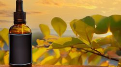 Fragrance Oils for Incense Sticks | Best Smelling Agarbatti in India