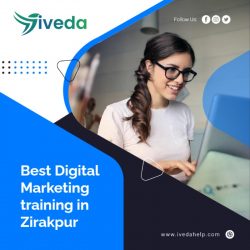 Best digital marketing training in zirakpur