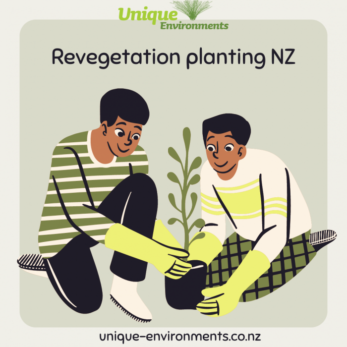 Revegetation NZ