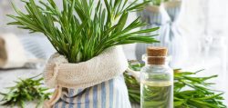 Benefits of Using Rosemary Essential Oil For Hair