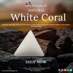 Get Certified White Coral stone at Best Price