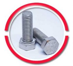 SS Hex Bolt manufacturers in india