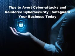 Tips to Avert Cyber-attacks and Reinforce Cybersecurity | Safeguard Your Business Today