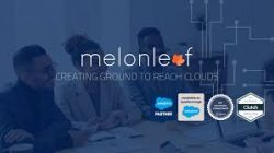 Top Salesforce Consulting Partner| CRM Consultant