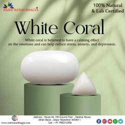 Shop Natural White Coral Stone Online at best Price