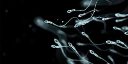 What are the Reasons of Male Infertility?