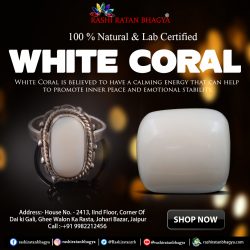 Get Certified White Coral stone at the Best Price