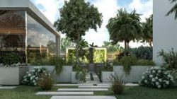 Landscape and Exterior design