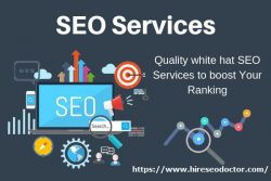 Technical SEO agency in Tampa Bay area