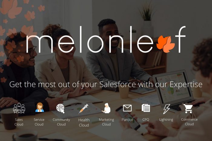 Salesforce & CRM Consulting Partner with the highest standing
