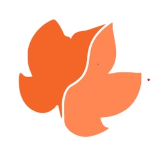 Best Salesforce Consulting Firm | Salesforce CRM Advisor