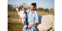 Horse Insurance NZ