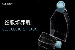 Cell Culture Flask