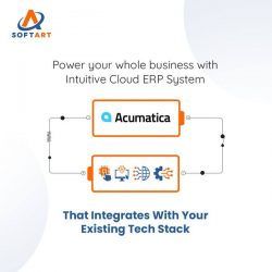 Power Your Whole Business with Intuitive Cloud ERP System
