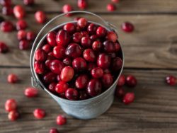 Information on Cranberry Nutrition and Health Benefits