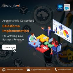 Salesforce Consulting and Service Provider