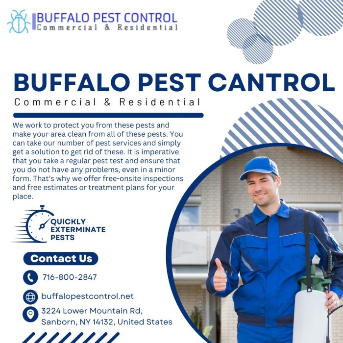 Pest control service at an affordable price in Buffalo, NY