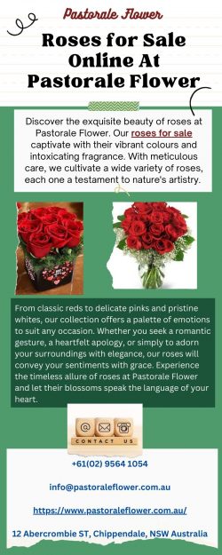 Roses for Sale Online At Pastorale Flower