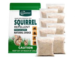 Squirrel Repellent