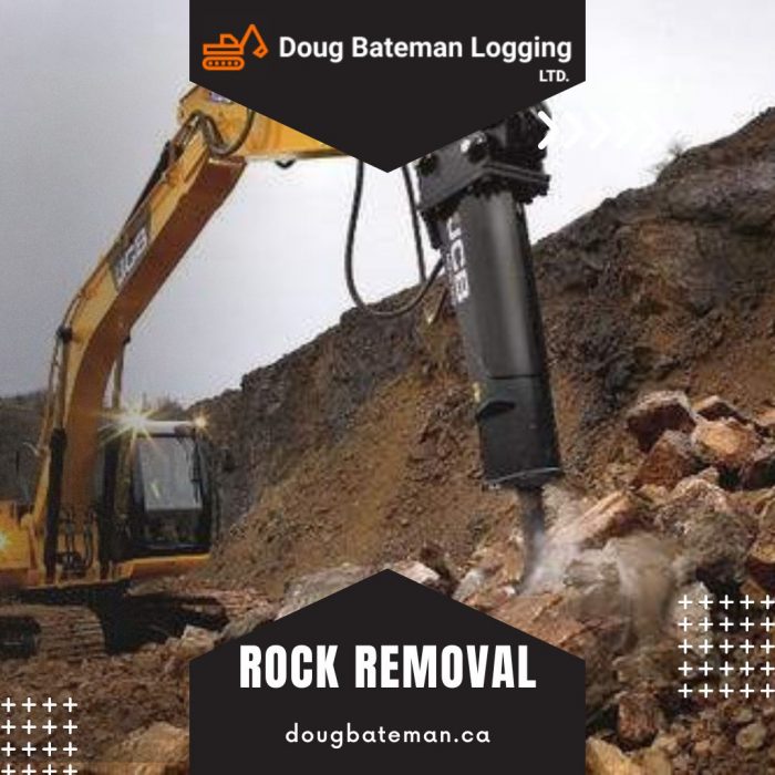 Professional Rock Removal Services in Kelowna