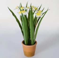 9.5*9.5*30CM Artificial Cream Yellow Narcissus