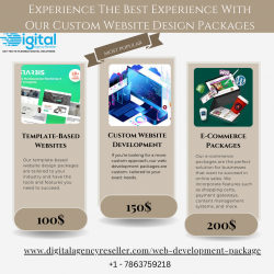 Experience With Our Custom Website Design Packages