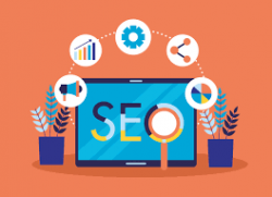 Find The Top Notch SEO Company In NZ
