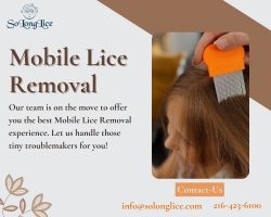 Professional Mobile Lice Removal Service
