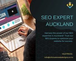 Get effective SEO Expert auckland to reach your audience easily
