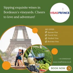 Bordeaux Wine Tasting: Apply for France Schengen Visa From the UK