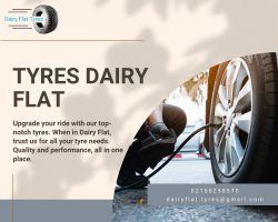 The widest collection of Tyres Dairy Flat