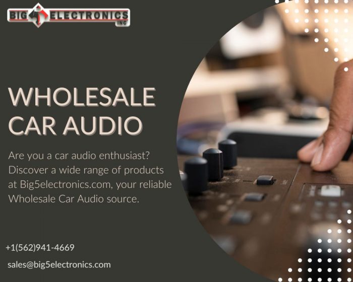 We are a premier wholesale car audio distributor based in South California