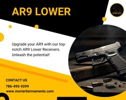 Discover the Versatility of AR9 Lower