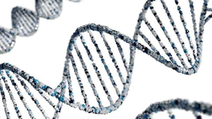 Plant Karyotype Analysis Service