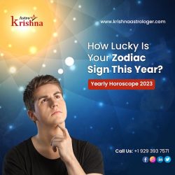 Consultation an Astrologer in USA – Krishnaastrologer.com