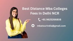 Best Distance Mba Colleges Fees In Delhi NCR