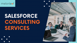 Achieve Excellence with MelonLeaf’s Salesforce Consulting services