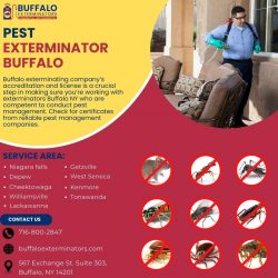 Bed Bug Exterminators Niagara Falls