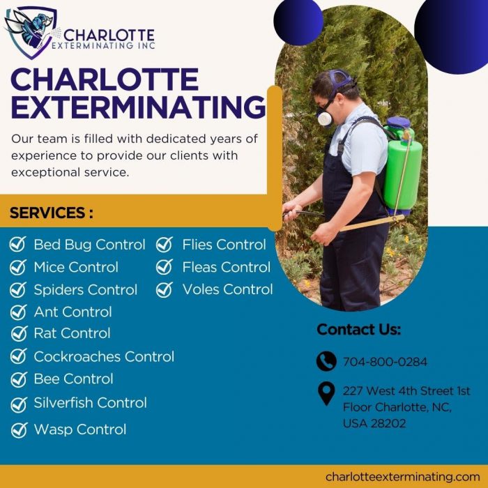 Flies exterminators charlotte