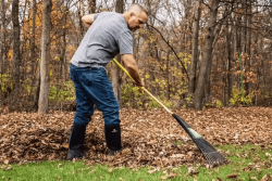 Fall Clean Up, Junk Removal Cleaning Services | Robert Care