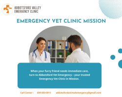 Round-the-Clock 24/7 Emergency Vet Clinic in Mission