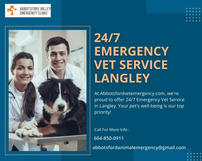 Immediate 24/7 Emergency Vet Service in Langley