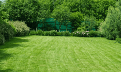 Lawn Care Services In Los Angeles,CA | Robert Complete Care