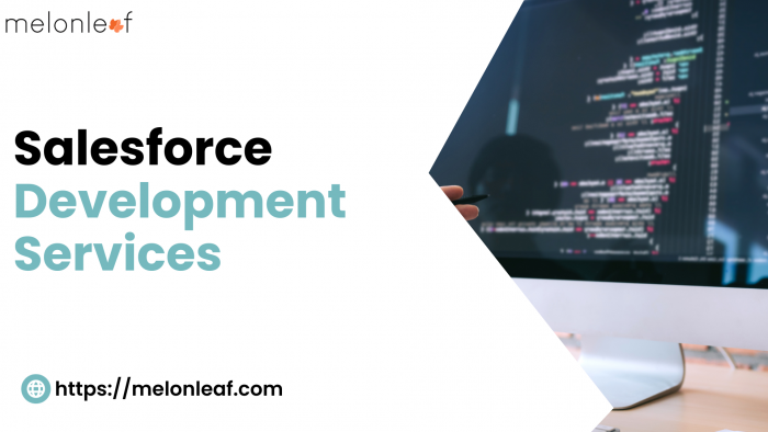 Maximizing Business Potential with Salesforce Development Services