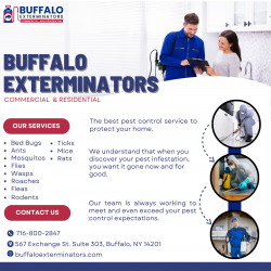 Fleas Exterminators Buffalo